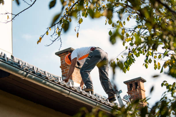 Best Storm Damage Roof Repair  in Crestline, CA